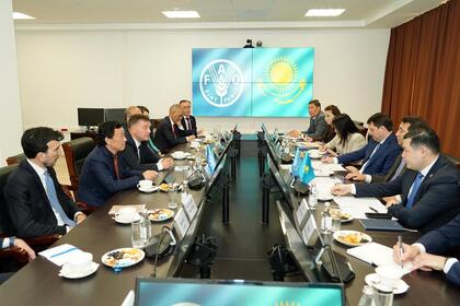 Встреча главы Минсельхоза Казахстана с Гендиректором ФАО